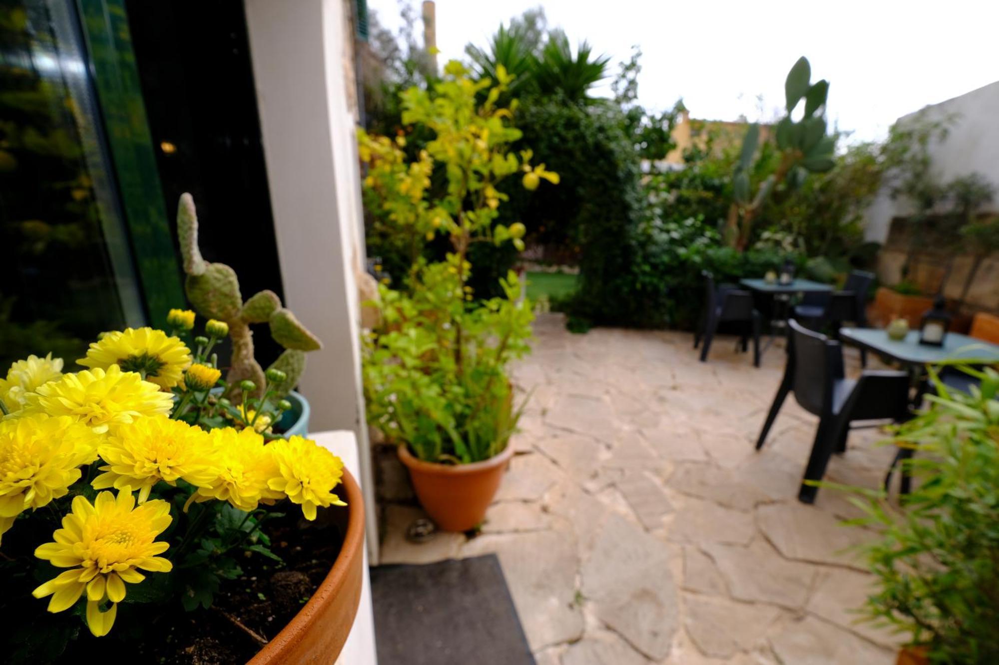 Casa Caimari Guest House, For Mountain Lovers! Экстерьер фото